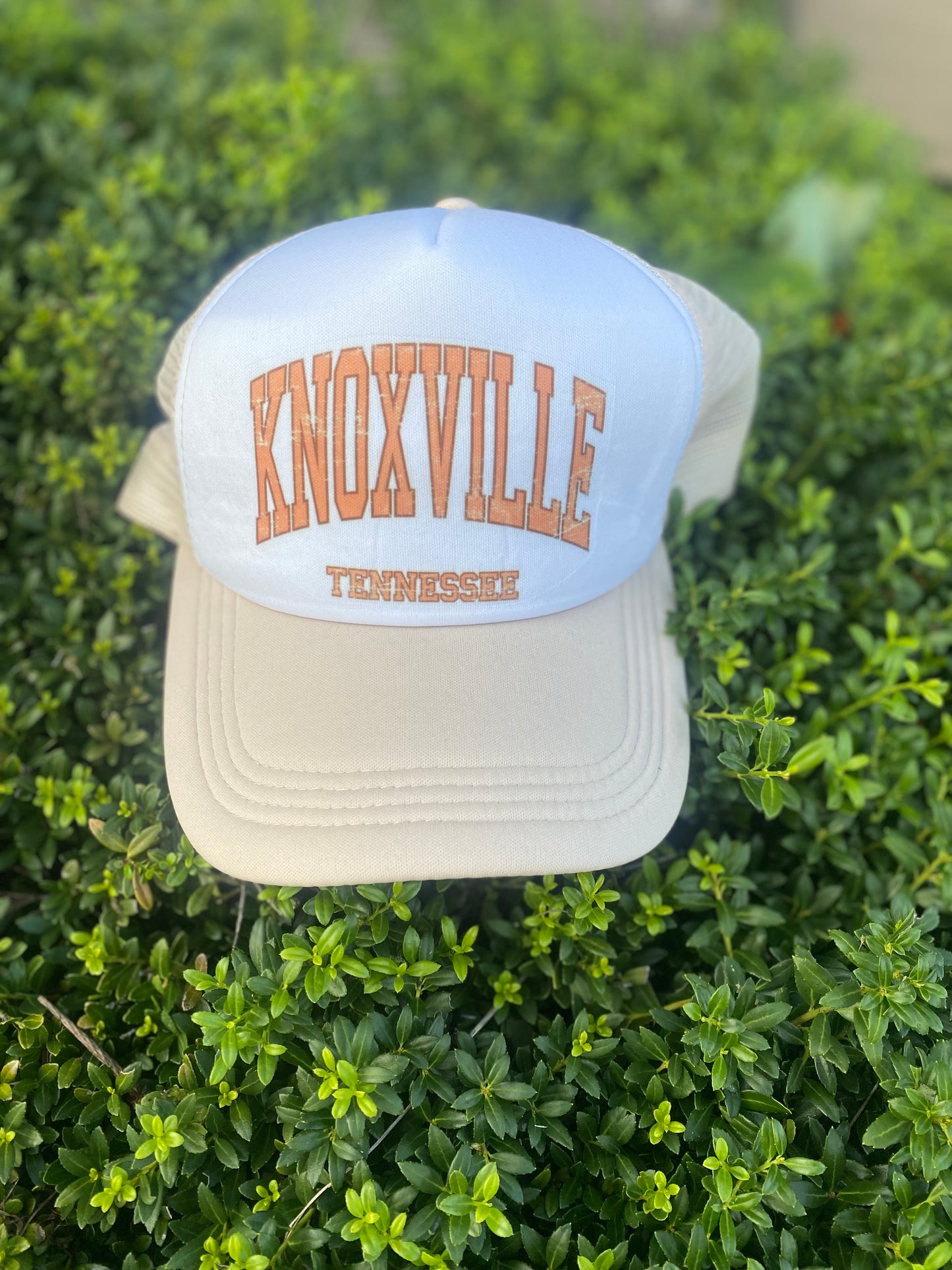 *Custom* Town Sub transfer *you will have to fill out the forms*